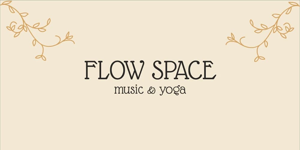 Flow Space Image